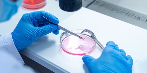 1-Nov-14-2025-02-48-57-8936-PM 1-Nov-14-2025-02-48-57-8936-PM