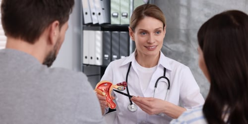 2-Nov-14-2025-02-48-58-1010-PM 2-Nov-14-2025-02-48-58-1010-PM